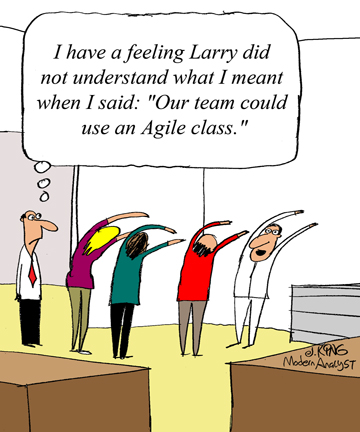 Humor - Cartoon: Get the Right Agile Business Analysis Training